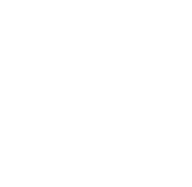Nuestras Especialidades